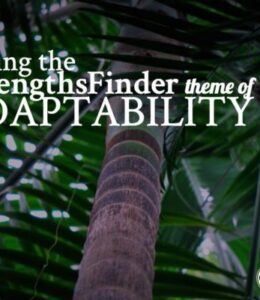 Adaptability® FB