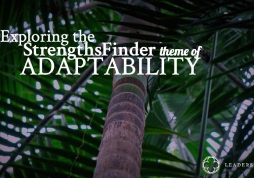 palm tree StrengthsFinder theme of Adaptability FB