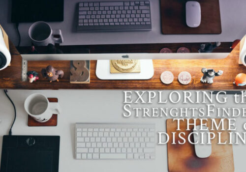 StrengthsFinder theme of Dicsipline® FB