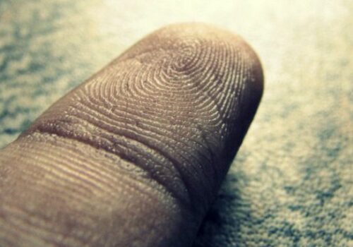 unique finger print