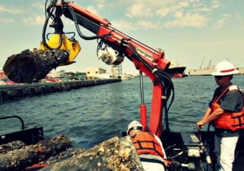 self assurance confidence operating crane