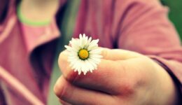 flower in hand