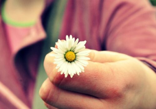 flower in hand