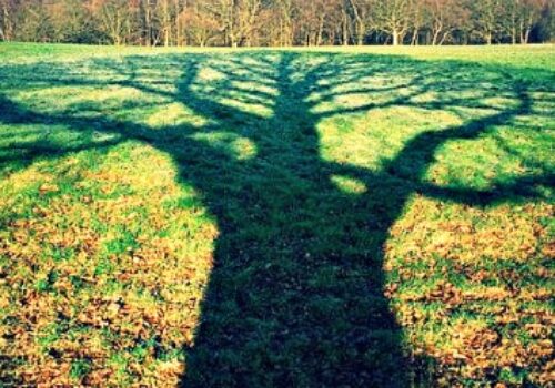 confronting the dark side of strengths