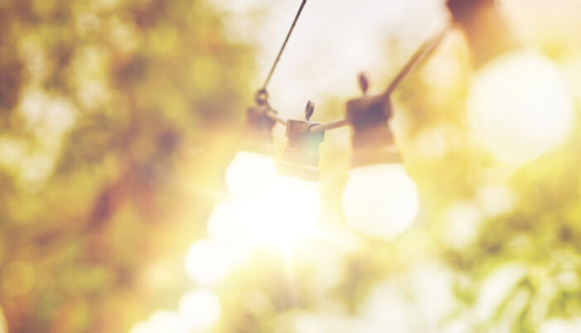 Light Bulb copy