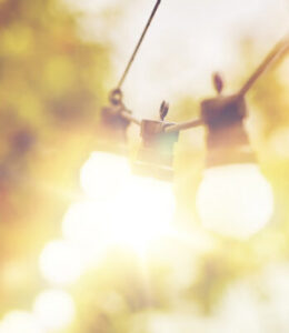 Light Bulb copy