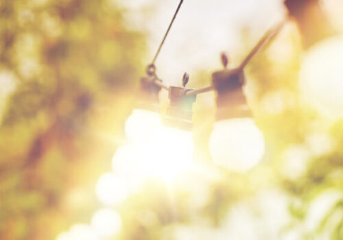 Light Bulb copy