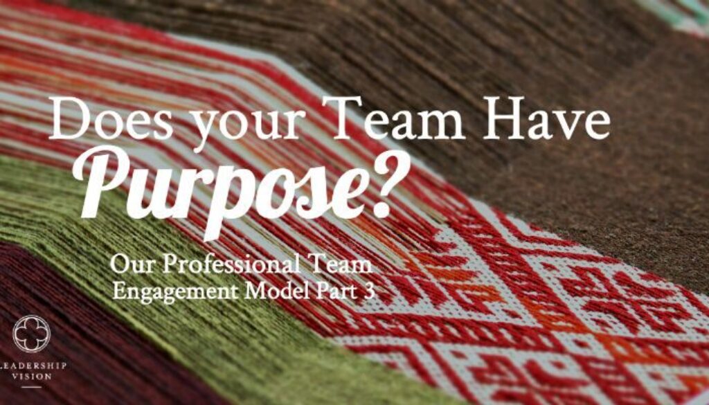 Professional Team Engagement model 3 weaving