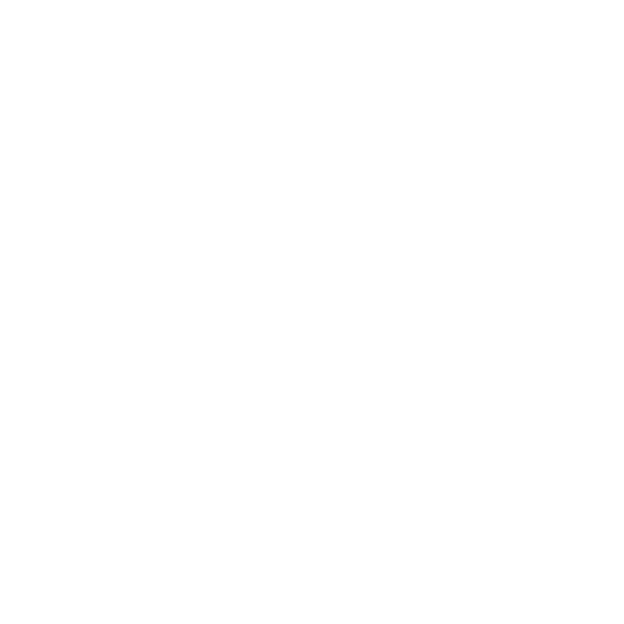 Leadership Vision Preview Experience