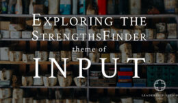 StrengthsFinder theme of Input®