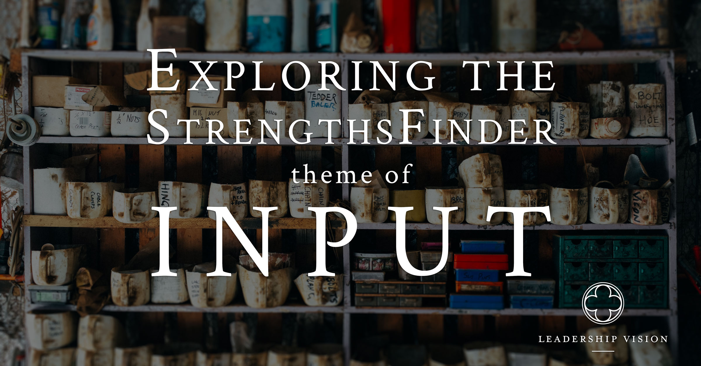 StrengthsFinder theme of Input®