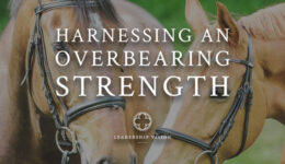 Harnessing overbearing strength