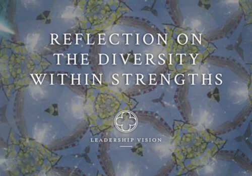diveristy within strengths