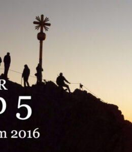 top 5 2016 fb