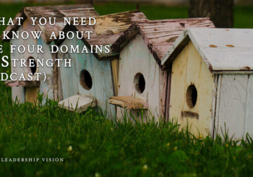 Four Domains of Strength