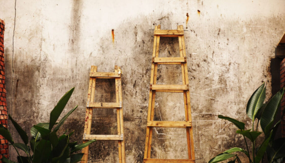 Big ladder and small ladder