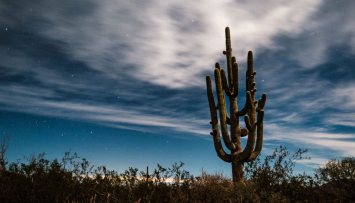 Arizona