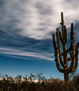 Arizona