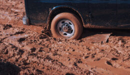 stuck-in-the-mud