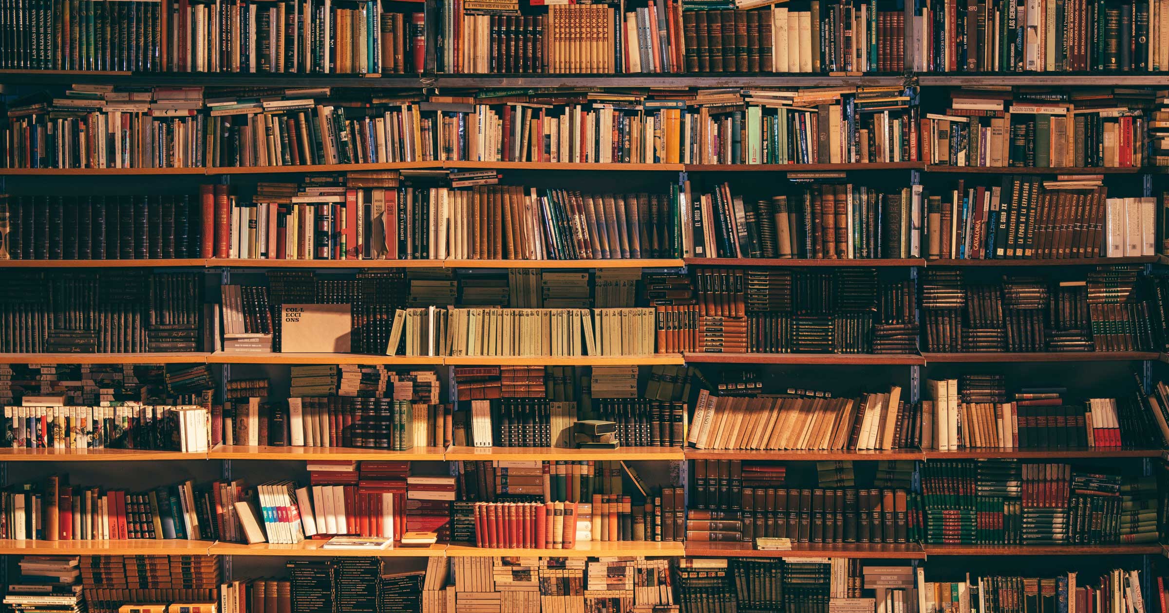 wall-of-library-books