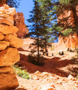 rocks-on-a-trail