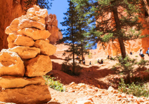 rocks-on-a-trail