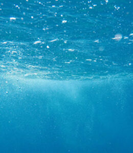 the-transformational-nature-of-strengths