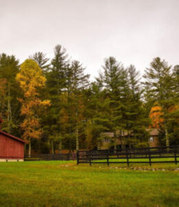 Barnyard