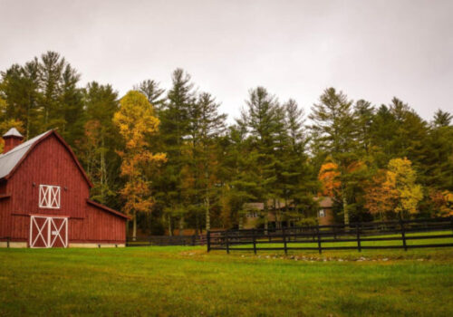 Barnyard