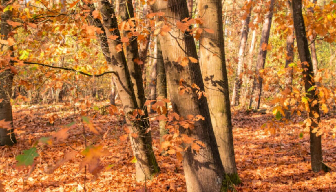 Three Questions to help you Navigate Personal Change change