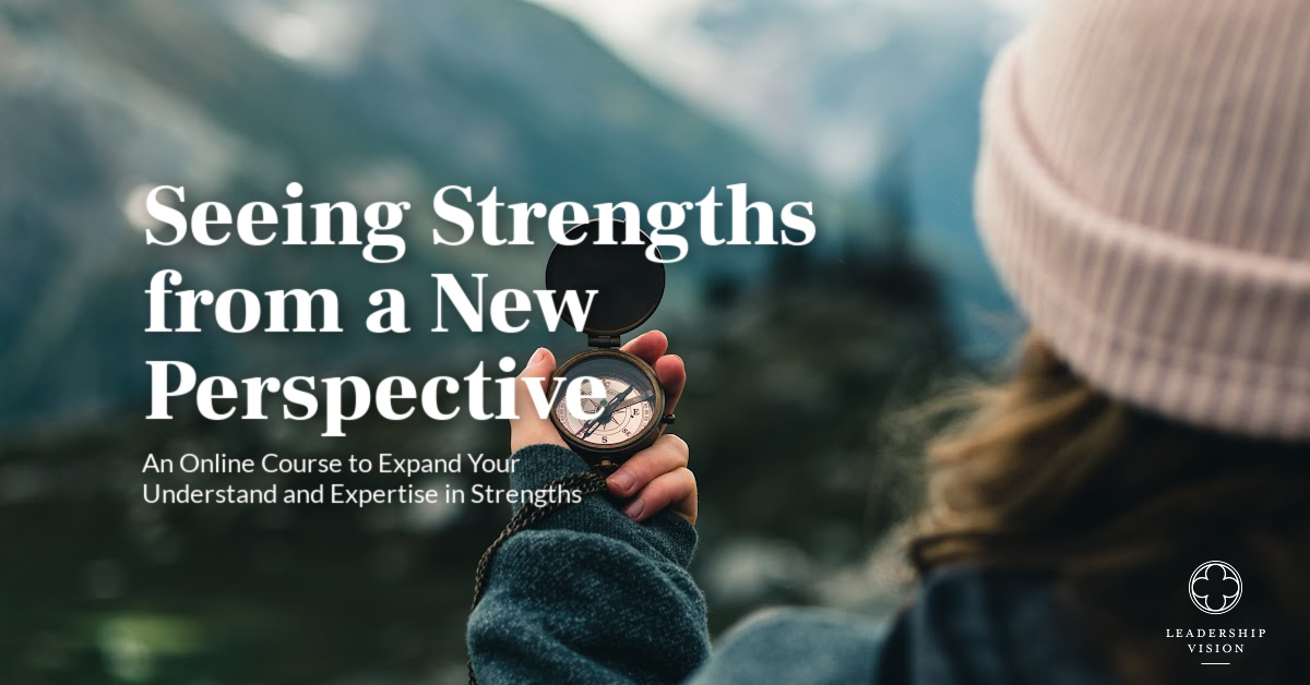 Seeing Strengths for a New Perspective Course