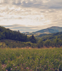 3 Things All Leaders Need to Navigate Challenging Times