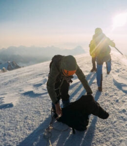Enhancing Team Dynamics Through Trust and Psychological Safety FT