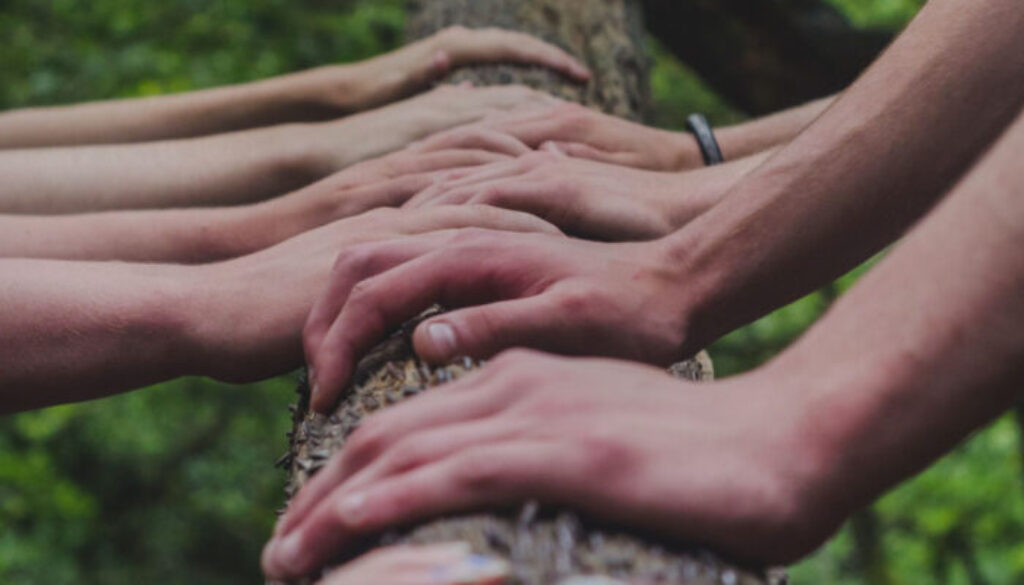 team building trust falls