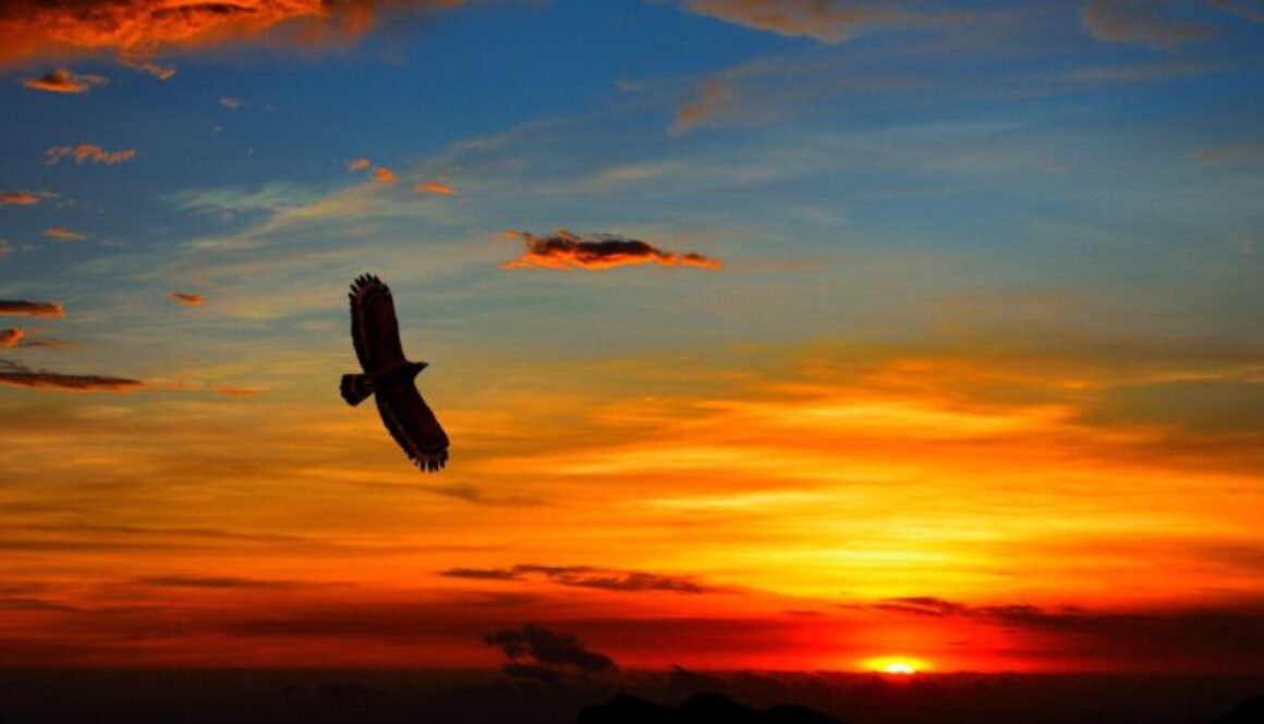 Ch 4. Fly 2_ FEATURED