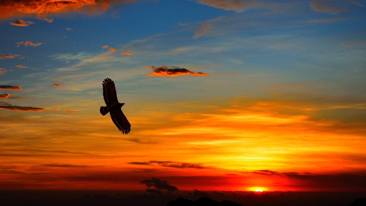 Ch 4. Fly 2_ FEATURED