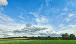 844 - The Palate Expander Episode FEATURED 2