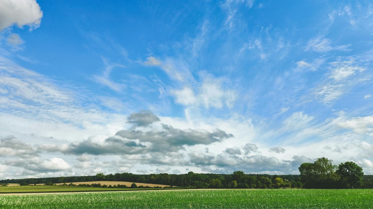 844 - The Palate Expander Episode FEATURED 2