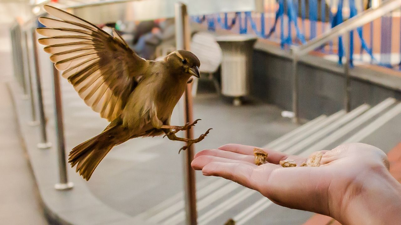 Serve the City_ FEATURED