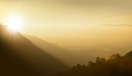 Unfolded Highlights_ FEATURED 2