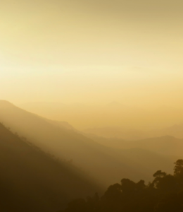 Unfolded Highlights_ FEATURED 2