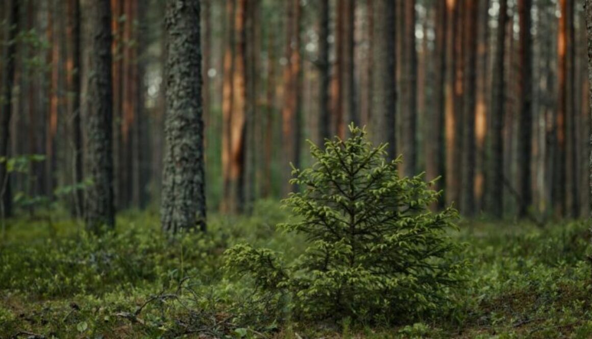 FEATURED S09EP08 - 2_23_26 Executive Leadership Strategy