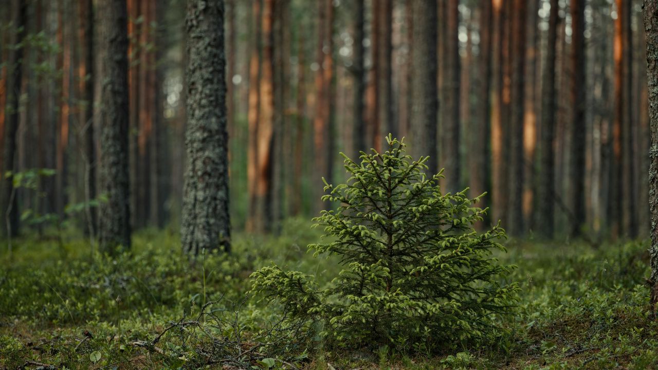 FEATURED S09EP08 - 2_23_26 Executive Leadership Strategy