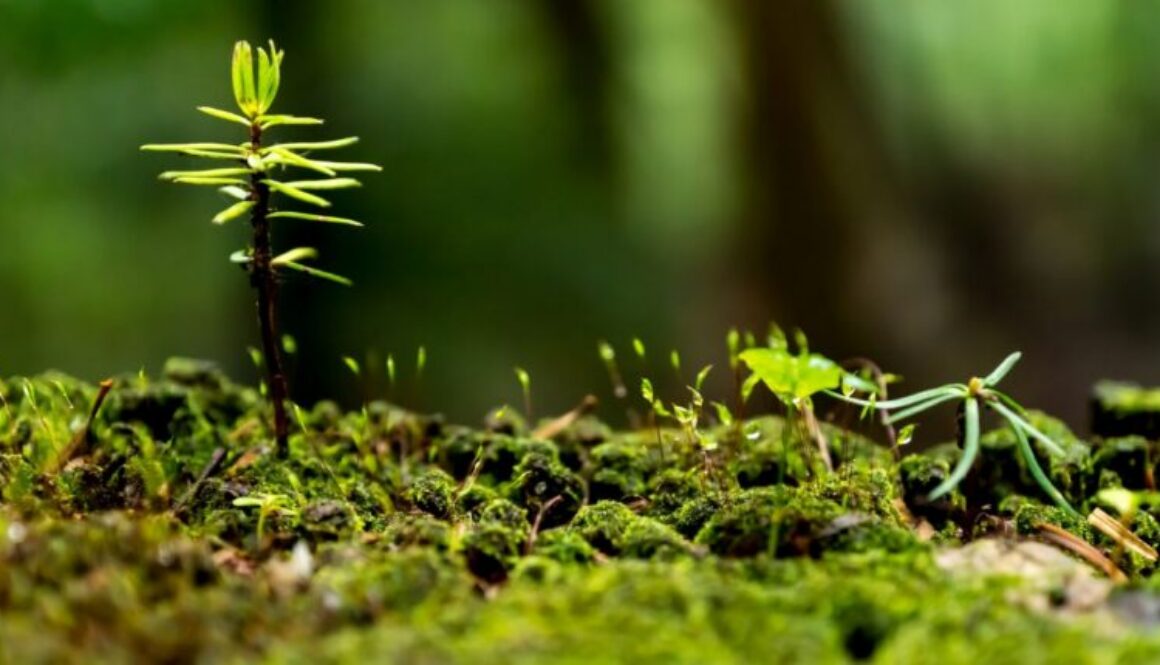 S09EP06 - 2_2_26 Prelude and Postlude Unfolded FEATURED